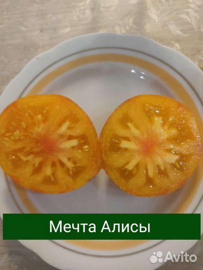 Семена томатов сортовых, томаты серии Гном и т.п