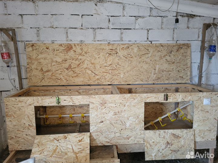 Брудар для цыплят