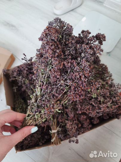 Душица деревенская