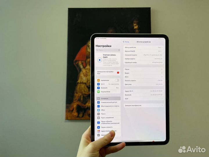 iPad Pro 11 M4 256gb Wi-Fi