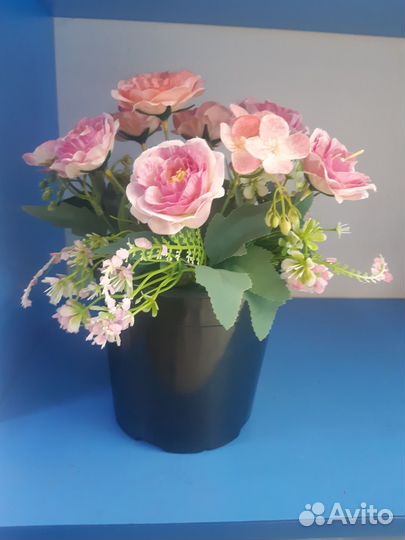 Горшок с цветами в бетоне