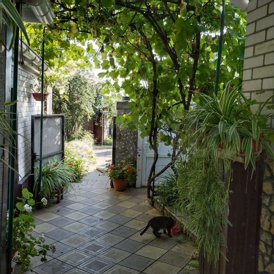 Дом 41 м² на участке 12 сот.