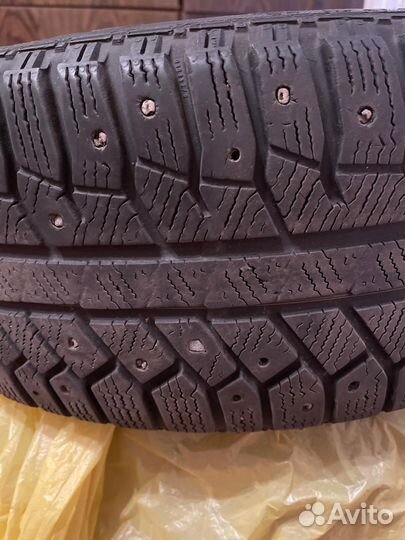 Continental ContiWinterViking 1 205/55 R16