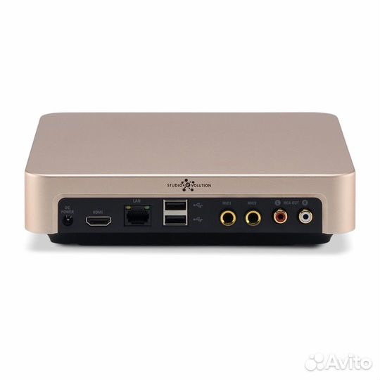 Караоке система для дома Evolution Evobox Gold