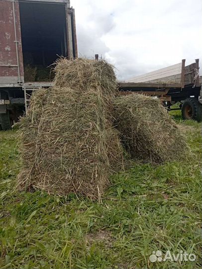 Сено в кипах