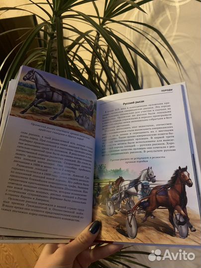 Книга для детей