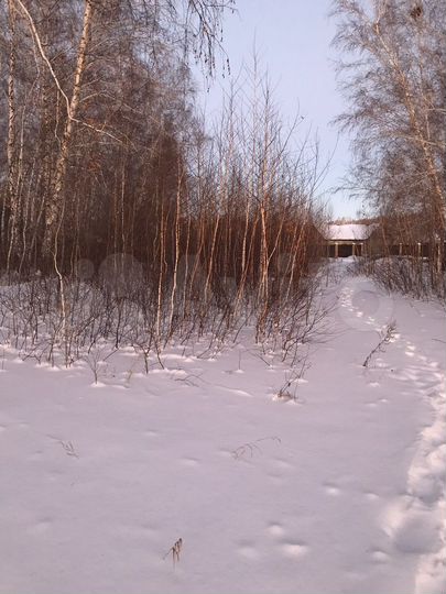 Участок 8 сот. (ИЖС)