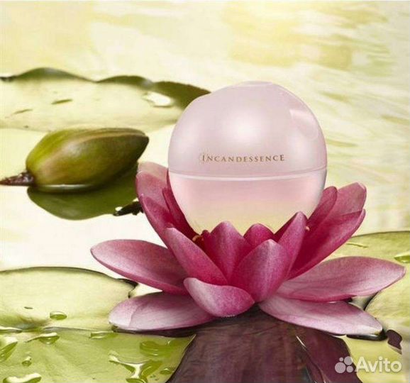 Avon по закупке Эйвон