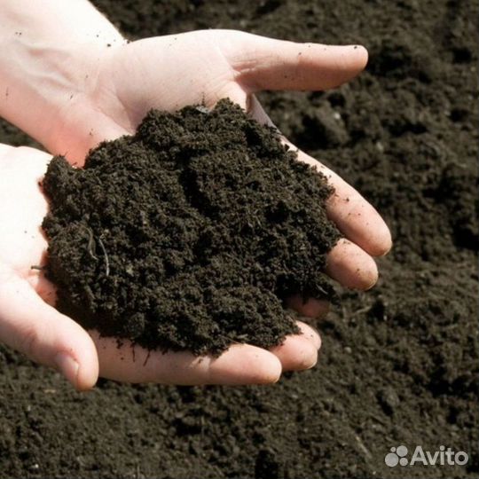 Чернозем с доставкой