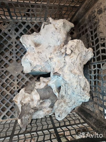 Камень кремний