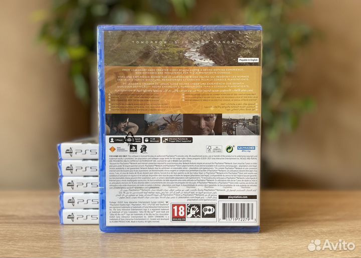 Death Stranding Director's Cut (PS5)