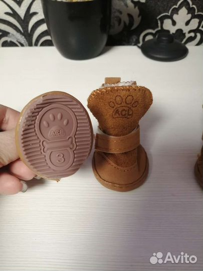 Зимние ботинки на собачку