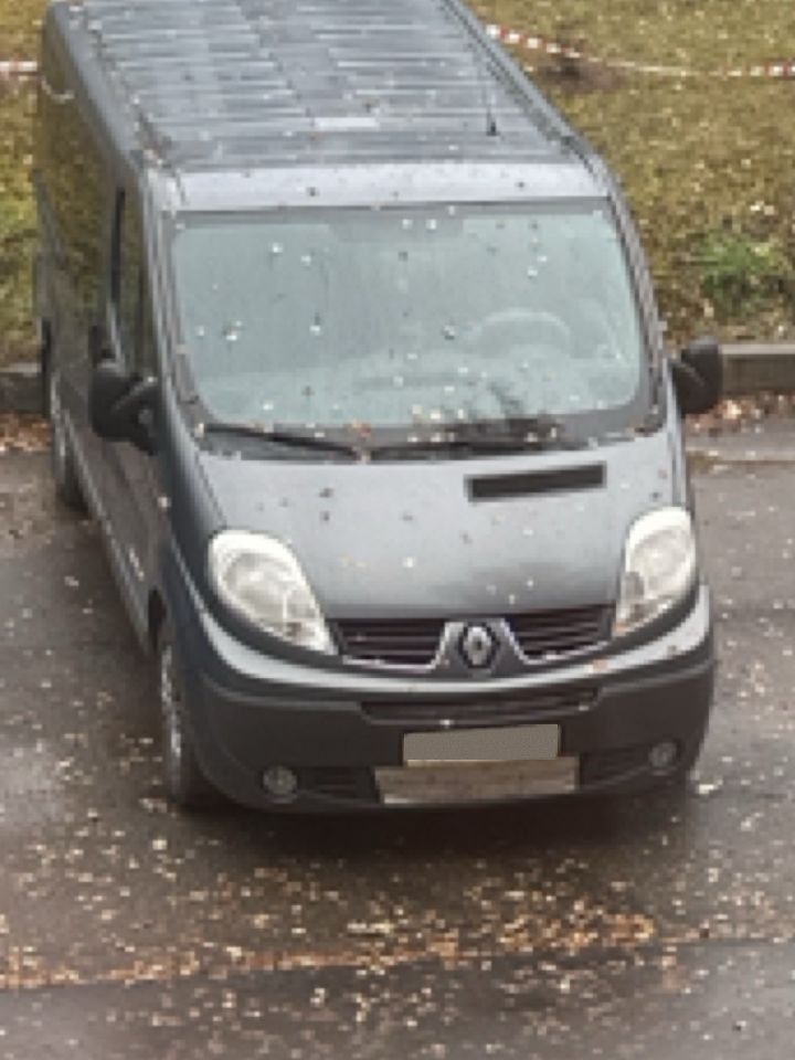 Renault Trafic: фото из отзыва