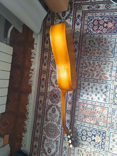 Гитара и чехол