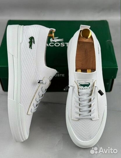 Мужские кеды Lacoste