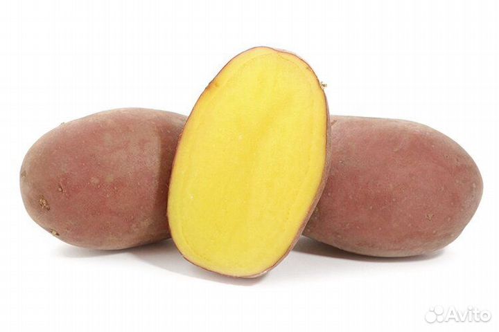 Продаём вкусный картофель с доставкой