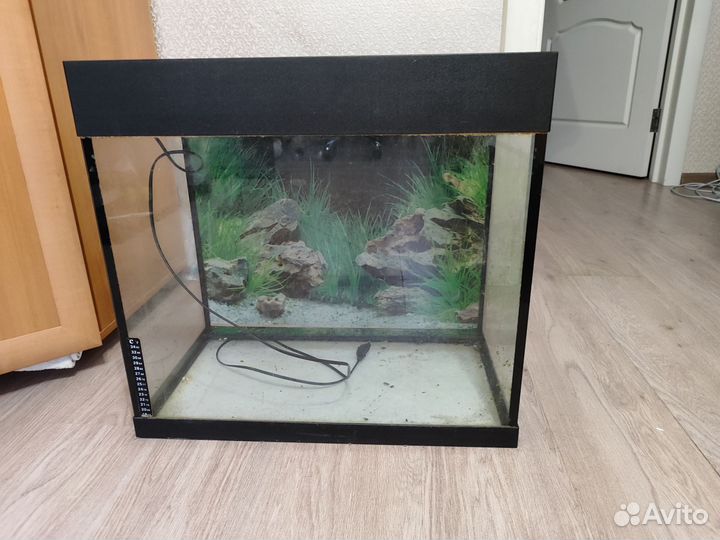 Аквариум