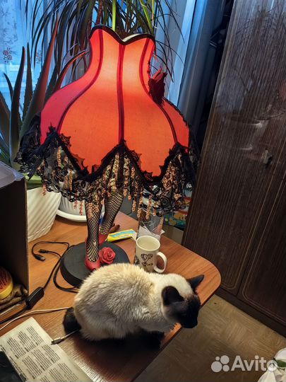 Ночник Корсет