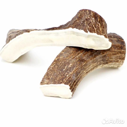 Грызак для собак