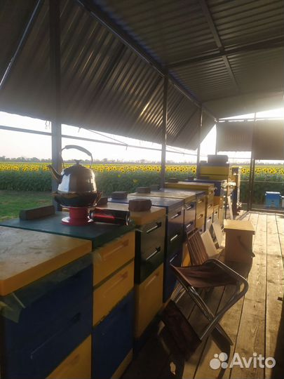 Пчелоприцеп