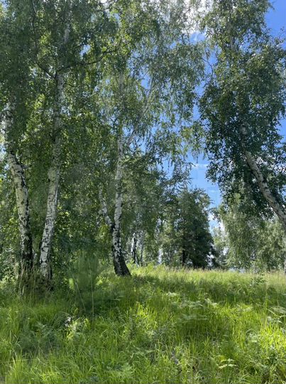 Участок 15 сот. (ИЖС)