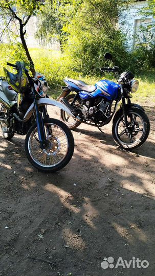 Racer Panther 300