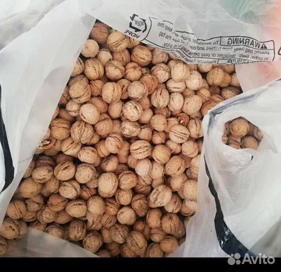 Грецкий орех