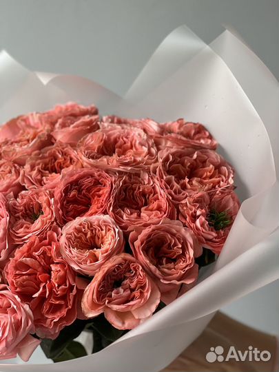 25 роз mandarin X-pression