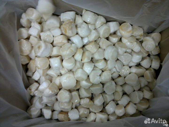 Гребешок камчатский