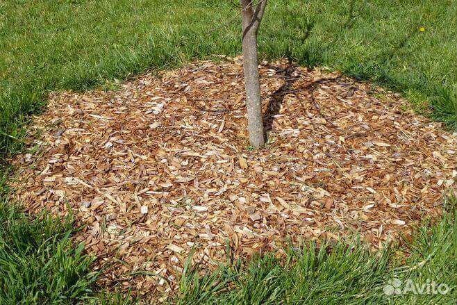 Мульча для декора