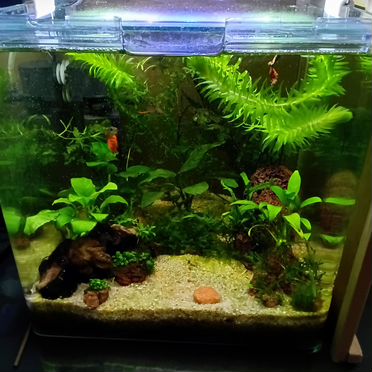 Аквариум кубик 17 л