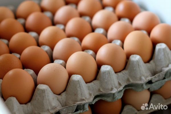 Продукты питания