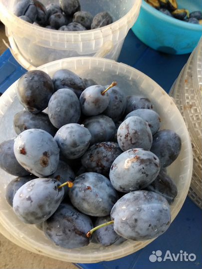 Орехи и сухофрукты