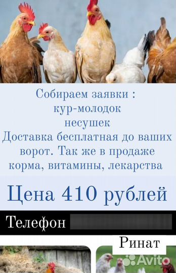 Домашняя птица