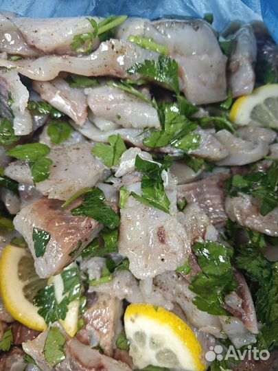 Сугудай из Северной рыбки