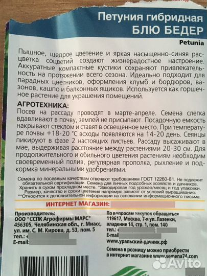 Рассада петунии