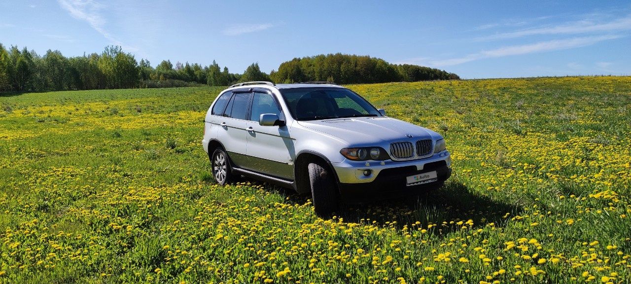 BMW X5: фото владельца