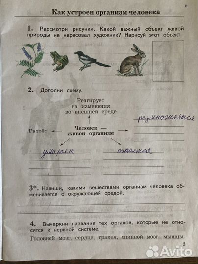 Окружающий мир, Раб.тет. 4кл. Вентана-граф 2016