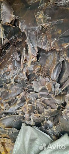 Пушечное сало