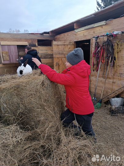 Сено в мешках