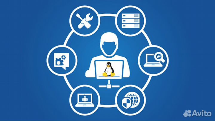 Системный администратор, IT-специалист, Юрист