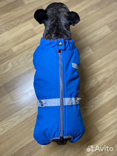 Теплый новый комбинезон для французкого бульдога