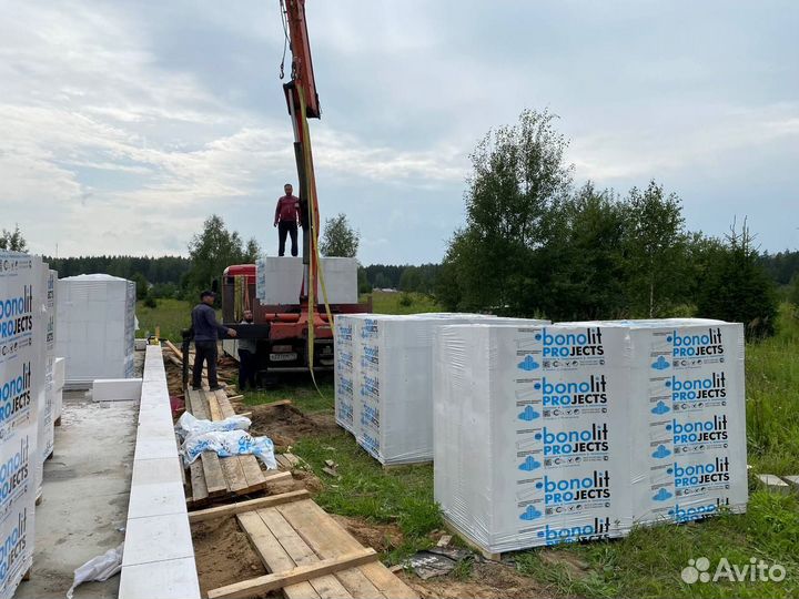 Бонолит Блоки 250 250