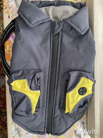 Одежда для собак