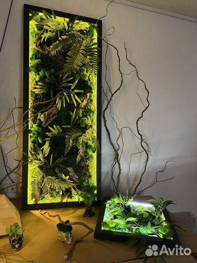 Фитопанели, картины из мха, фитокартины