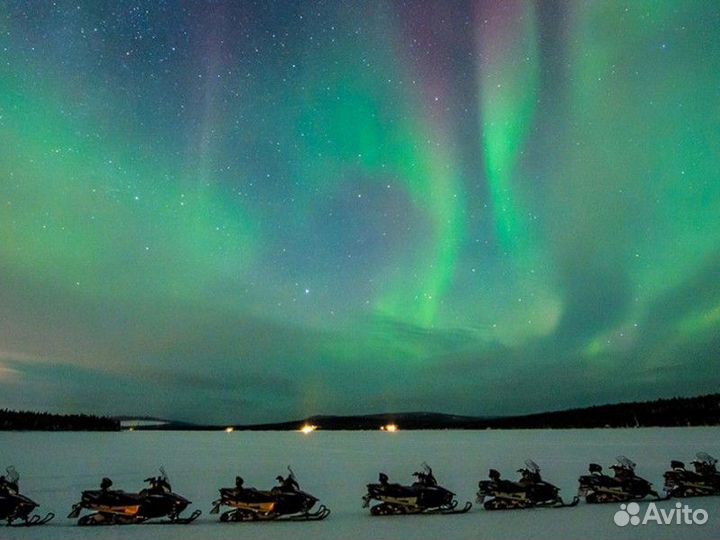 Экскурсия — Мурманск — Северное сияние— охота насн