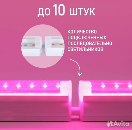 Фитолампа для растений