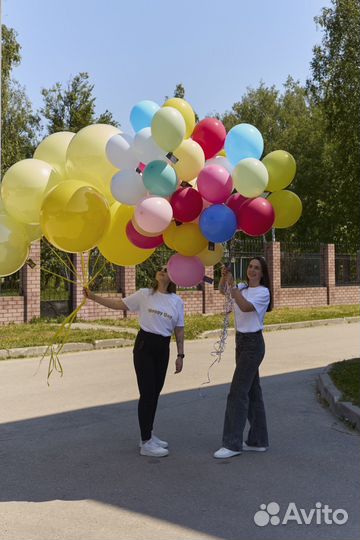 Шары Богородск