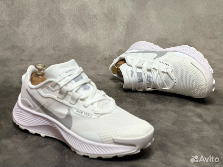 Кроссовки Nike pegasus trail мужские