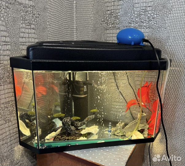 Аквариум
